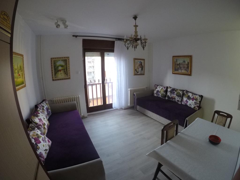 Violet Star Apartment Novi Sad Exteriör bild