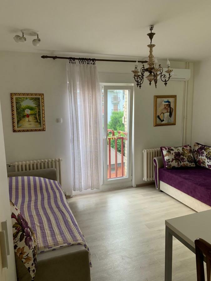 Violet Star Apartment Novi Sad Exteriör bild